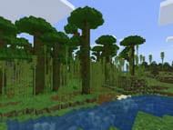 Bamboo Jungle (Image via minecraftseedhq.com)